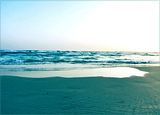 MoadARTCAM20.jpg image by moadart
